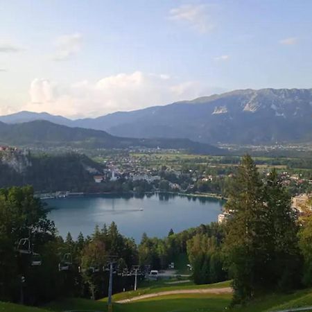 Apartment Bee Near Bled Zabreznica Luaran gambar